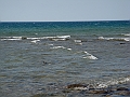 Western Michigan [2010] 852
